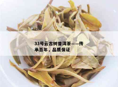 33号云古树普洱茶——传承百年，品质保证