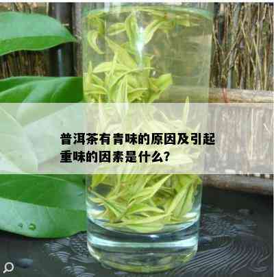 普洱茶有青味的原因及引起重味的因素是什么？