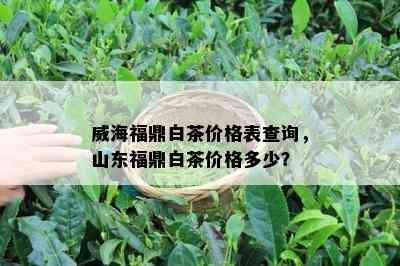 威海福鼎白茶价格表查询，山东福鼎白茶价格多少？