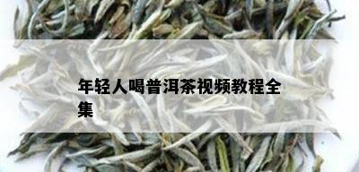 年轻人喝普洱茶视频教程全集