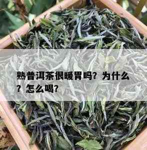 熟普洱茶很暖胃吗？为什么？怎么喝？