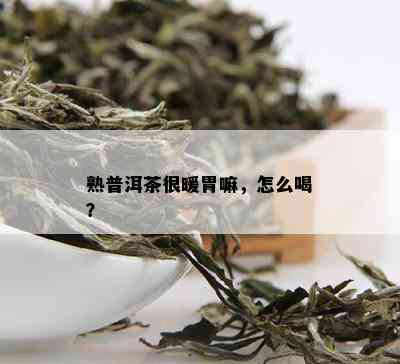 熟普洱茶很暖胃嘛，怎么喝？