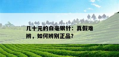 几十元的白毫银针：真假难辨，如何辨别正品？