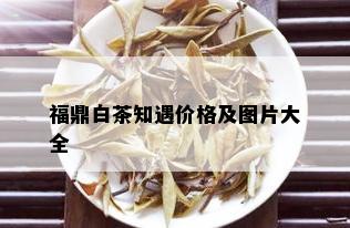 福鼎白茶知遇价格及图片大全