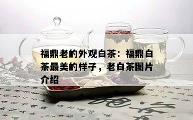 福鼎老的外观白茶：福鼎白茶最美的样子，老白茶图片介绍