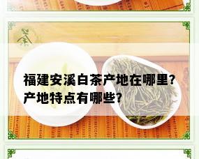 福建安溪白茶产地在哪里？产地特点有哪些？