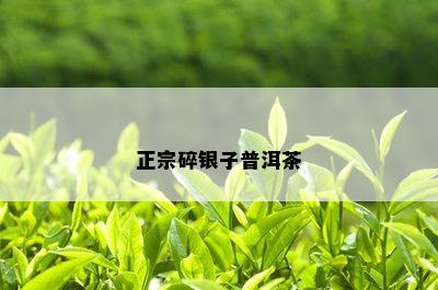 正宗碎银子普洱茶