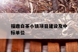 福鼎白茶小镇项目建设及中标单位