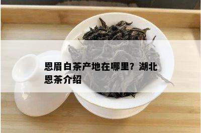 恩眉白茶产地在哪里？湖北恩茶介绍