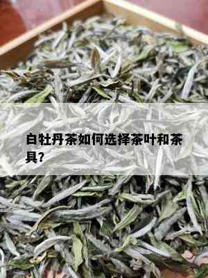 白牡丹茶如何选择茶叶和茶具？