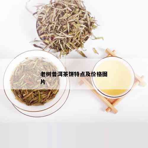 老树普洱茶饼特点及价格图片