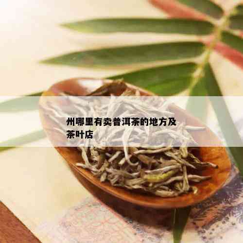 州哪里有卖普洱茶的地方及茶叶店