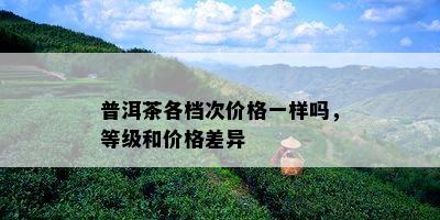 普洱茶各档次价格一样吗，等级和价格差异