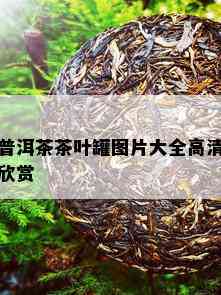 普洱茶茶叶罐图片大全高清欣赏