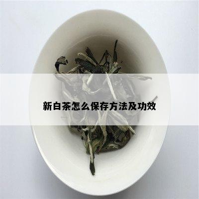 新白茶怎么保存方法及功效