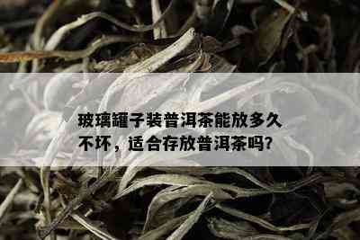 玻璃罐子装普洱茶能放多久不坏，适合存放普洱茶吗？