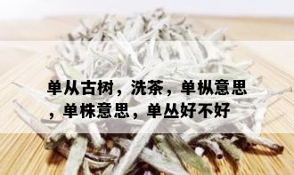 单从古树，洗茶，单枞意思，单株意思，单丛好不好