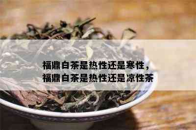 福鼎白茶是热性还是寒性，福鼎白茶是热性还是凉性茶