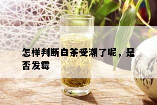 怎样判断白茶受潮了呢，是否发霉