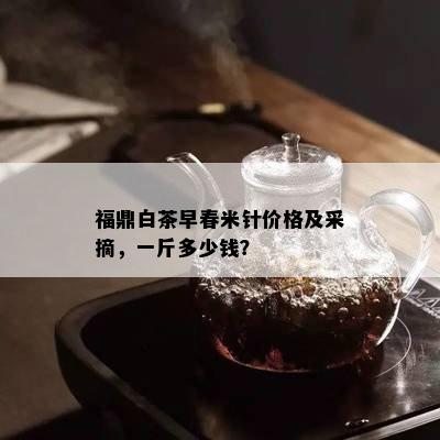 福鼎白茶早春米针价格及采摘，一斤多少钱？