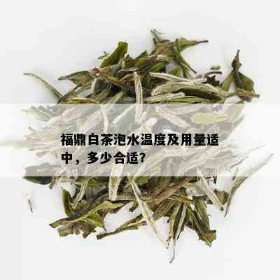 福鼎白茶泡水温度及用量适中，多少合适？