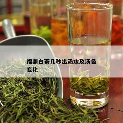 福鼎白茶几秒出汤水及汤色变化