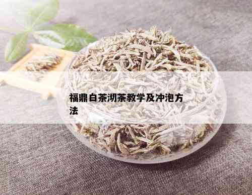 福鼎白茶沏茶教学及冲泡方法