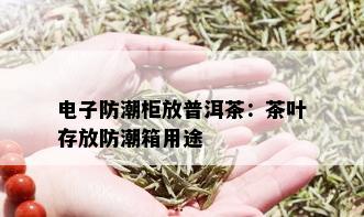 电子防潮柜放普洱茶：茶叶存放防潮箱用途