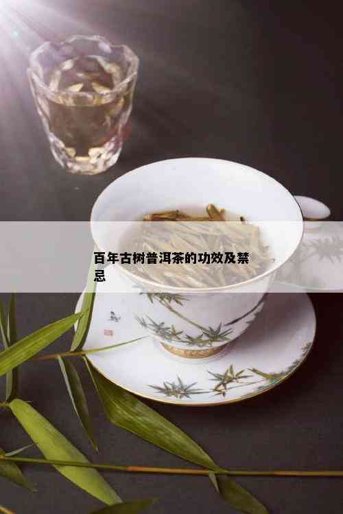 百年古树普洱茶的功效及禁忌