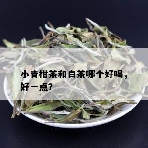 小青柑茶和白茶哪个好喝，好一点？