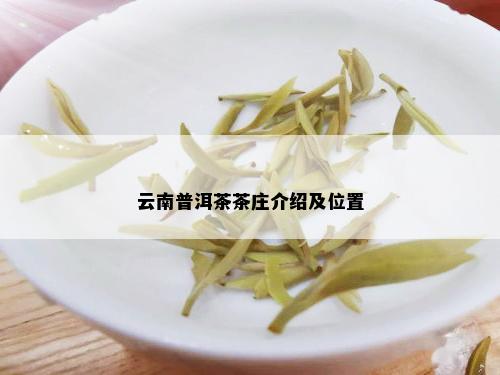 云南普洱茶茶庄介绍及位置