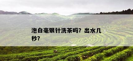 泡白毫银针洗茶吗？出水几秒？