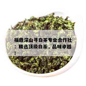 福鼎深山寻白茶专业合作社：精选顶级白茶，品味卓越！