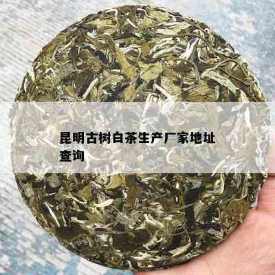 昆明古树白茶生产厂家地址查询