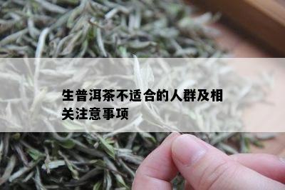 生普洱茶不适合的人群及相关注意事项