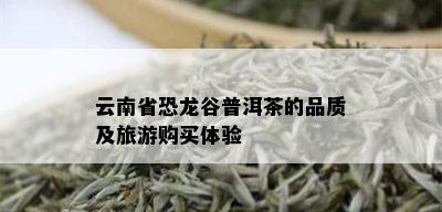 云南省恐龙谷普洱茶的品质及旅游购买体验