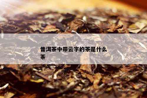 普洱茶中带云字的茶是什么茶