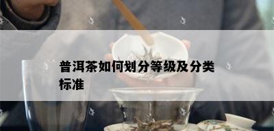 普洱茶如何划分等级及分类标准