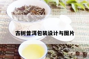 古树普洱包装设计与图片