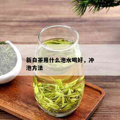 新白茶用什么泡水喝好，冲泡方法