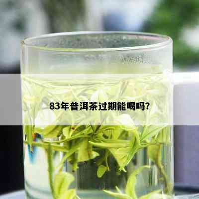 83年普洱茶过期能喝吗？