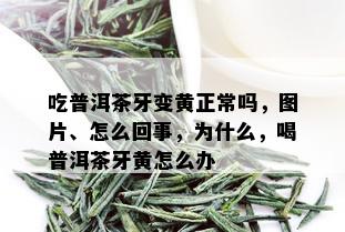 吃普洱茶牙变黄正常吗，图片、怎么回事，为什么，喝普洱茶牙黄怎么办