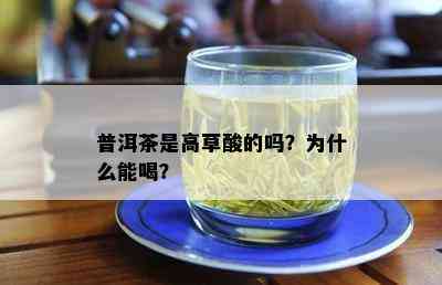 普洱茶是高草酸的吗？为什么能喝？