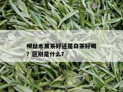 柳丝木黑茶好还是白茶好喝？区别是什么？