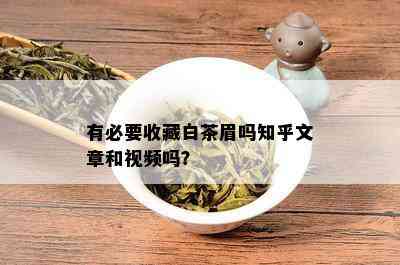 有必要收藏白茶眉吗知乎文章和视频吗？