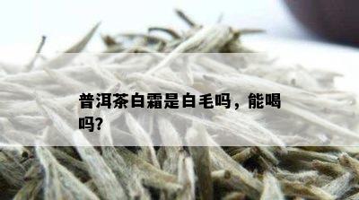 普洱茶白霜是白毛吗，能喝吗？