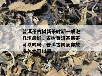 普洱茶古树新茶时期一般泡几泡更好，古树普洱茶新茶可以喝吗，普洱古树茶存放多久才可以喝