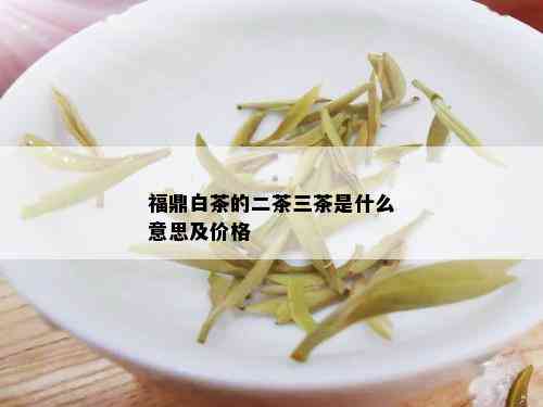 福鼎白茶的二茶三茶是什么意思及价格