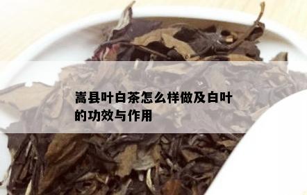 嵩县叶白茶怎么样做及白叶的功效与作用