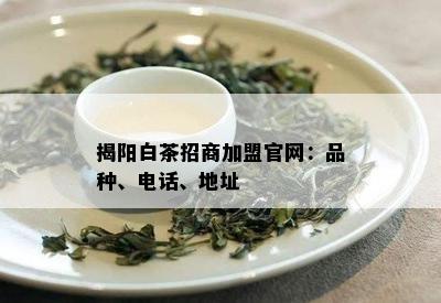 揭阳白茶招商加盟官网：品种、电话、地址